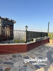  8 مزرعة وشاليه للايجار اليومي في السلط الصبيحي اجمل اطلاله في السلط كلها جدا  اسم المزرعه (the moon 1)