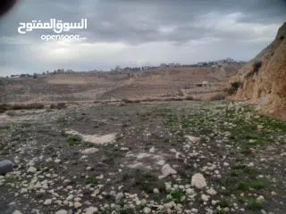  8 1800 م ارض طابو A الخليل دورا  خرسه