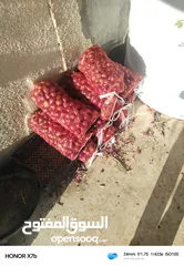  3 بصل  مواني احمر حبة وسط ممتاز بجودة عالية