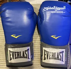  1 Everlast Boxing Gloves - قفازات ملاكمة ايفرلست