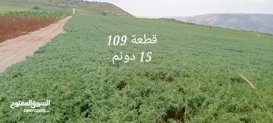  11 قطع اراضي مميزة مطلة على سد وادي العرب في ام قيس من المالك مباشرة