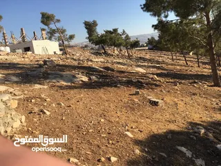  11 ارض للبيع  عمان شارع الاردن تقاطع شارع الاردن مع شارع عمان-جرش  الرئيسي ملاصقه لغابات وصفي التل