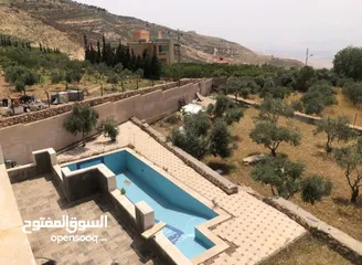  10 مزرعه للبيع في السلط مساحة الأرض 4218م مساحة البناء 450م