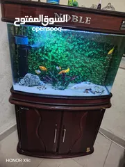  3 حوض سمك اوروبي نوع Noble  80*60