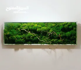  5 Moss walls for houses and office + Gallery 1 art work