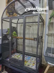  20 بيع الأثاث ومستلزمات الأطفال وإكسسوارات الحيوانات الأليفة وأقفاص الطيور  birds cages baby   items