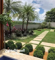  5 نجيل طبيعي ونجيل ديكوندرا