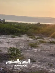  30 شاليه البحرالميت بجانب الفنادق  للايجار
