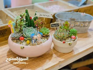  6 Handmade pots