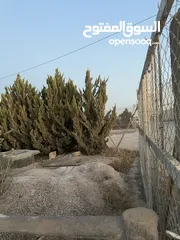  4 مزرعه للبيع مساحتها دلم