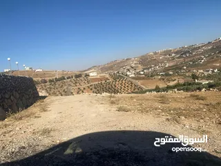  3 قطعة ارض للبيع ( ام رمانة )  واصل جميع الخدمات (حي القاسم )