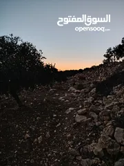  15 ارض للبيع مساحة4300م وعلى الواقع 12دونم تصلح بيت ريفي شاليه ارض زراعيه ويوجد فيها بيت قيد الانشاء