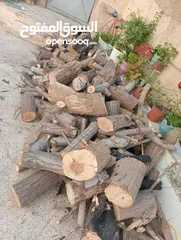  1 حطب زيتون وكينا للبيع