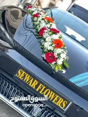  6 سيارات للاجار