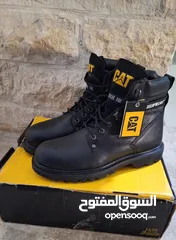  1 سيفتي cat .