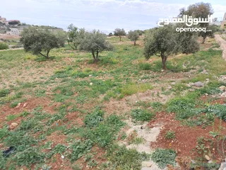  13 2300 م السلط المغاريب قطعة ملوكية تصلح ل فيلا او مزرعة اطلالة ع الغرب و جبال فلسطين