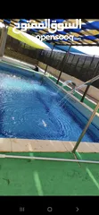  8 مزرعة زهرة اللوتس