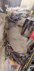  12 شصيات للبيع