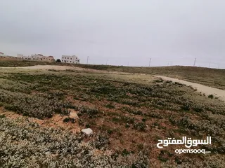  10 ارض للبيع في البيضاء شرق عمان 517 متر