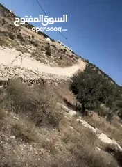  3 ارض للبيع البصه الحكر 5 دونمات و484 م  تصلح لبناء قصر ذات اطلاله