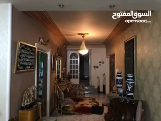  8 مدينه نصر شارع عباس العقاد الرئيسي