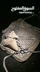  4 Italian silver necklace with wire wrapped ancient shark tooth fossil + free leather rope