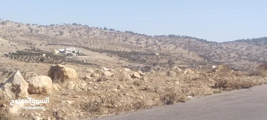  18 الكمشة شمال شفابدران