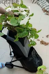  6 Garden Chipper Shredder جهاز اقطيع ونشر الاغصان للحدائق