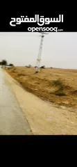  6 ارض للبيع من المالك مباشرة في بلدة العوجا الهادئة.. مساحة 1600 متر مربع تصنيف أ