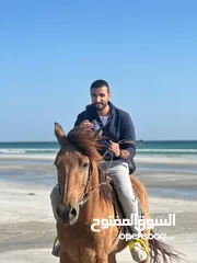  4 مدرس لغة إنجليزية معتمد من القوات المسلحة - English tutor - online  - مستر محمود محمد عبدالمنعم
