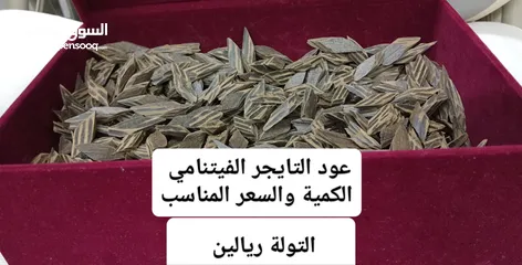  13 عرض للمميزين انظر الوصف