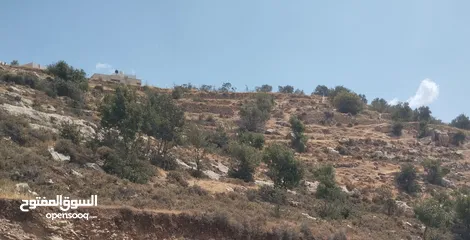  1 ارض مطلة ع راس جبل .بعد عقبة تفوح