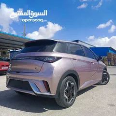  22 بي واي دي دولفين byd