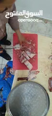 16 لحام منزلي متنقل لذبح كافة الاضاحي والعقائق والنذور
