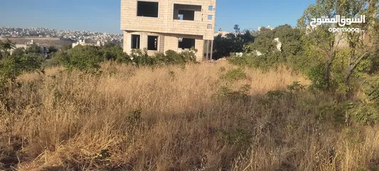  2 أرض مميزة للبيع