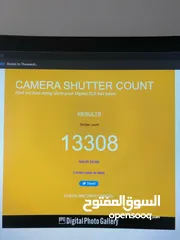  8 Nikon D5300 مع عدستين