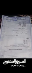  6 هونداي اكسنت 1994مرخصا