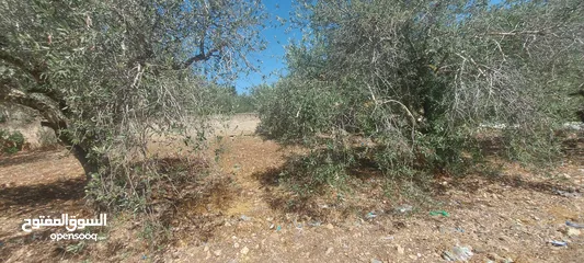  4 قطعة ارض مساحة 500م للبيع