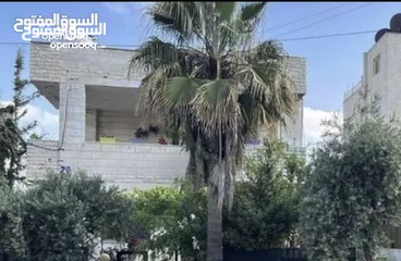  5 فيلا مستقلة للبيع في خلدا على مساحة ارض 608 م طابقين منفصلات