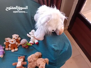  2 العاب اطفال بحاله جيده جدا البيع  مستعمل تقريبا 65 لعبه