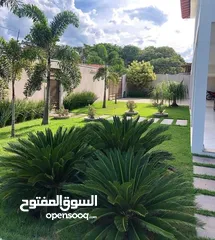  17 نجيل طبيعي للحدائق M5 - صنف وعرض مميز