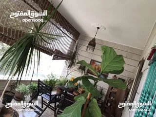  18 منزل سوبر ديلوكس للبيع  للجادين