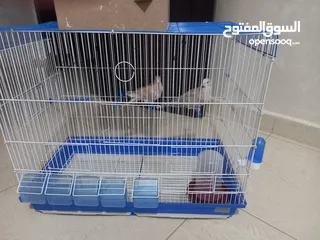  6 مطير كبير+حمام يمام  مع 8 معالف يصلح للعصافير واليمام وجميع طيور الزينه القفص بحاله ممتازه للبيع