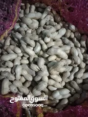  1 سوداني مفروز