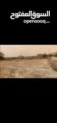  2 ارض للبيع في مدينة اريحا