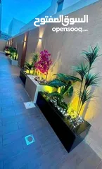  11 سحر الطبيعة يبدأ من هنا: تصميم حدائق داخلية وخارجية خلابة
