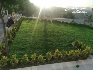  9 عشب صناعي (ترتان) وأشجار و ورد صناعي