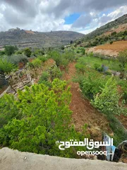  1 ارض للبيع بيت فجار منطقه الدلبه
