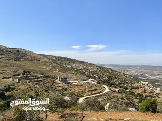  4 قطعة ارض 19 دنم زيتون كوشان واحد سعر ببلاش