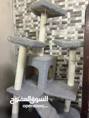  1 بيت مستعمل للقطط